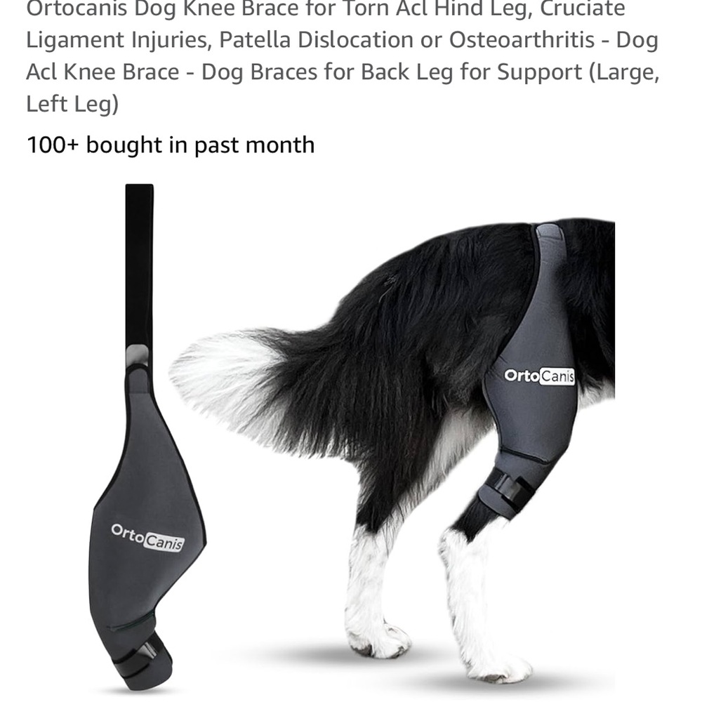 OrtoCanis Left Leg Brace for Dogs, Size Large Brand New